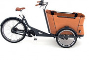  Vélo triporteur électrique