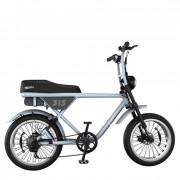 Vélos électriques avec selle biplace  - Vitesse : 25 km/h (40 km/h sur voie privée)