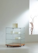 Vitrine d'exposition à 5 roulettes