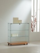 Vitrine de commerce à angle bas à 2 étagères