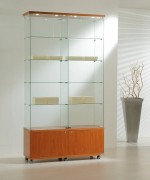 Vitrine large d'exposition