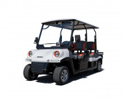 Voiturette de golf homologuée