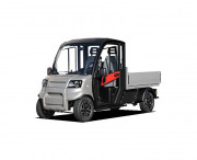 Voiturette électrique polyvalente