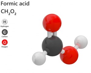 Acide Formique 80% - CAS N° 64-18-6 - Devis sur Techni-Contact.com - 1