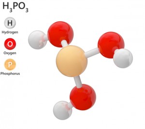 Acide Phosphorique 75% - CAS N° 7664-38-2 - Devis sur Techni-Contact.com - 1