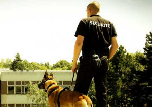 Agent de sécurité cynophile maître chien - Devis sur Techni-Contact.com - 1