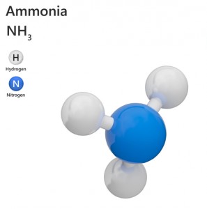 Ammoniaque (ou ammoniac) Alcali 22¡ -Hydroxyde d'ammonium - CAS N¡ 1336-21-6 - Devis sur Techni-Contact.com - 1