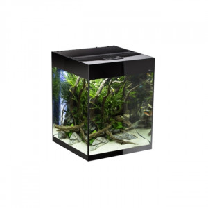 Aquarium cube avec meuble   - Devis sur Techni-Contact.com - 2