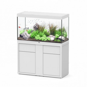 Aquarium design - Devis sur Techni-Contact.com - 2