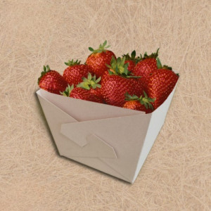 Barquette en carton pour l'emballage et le transport de fruits - Devis sur Techni-Contact.com - 2