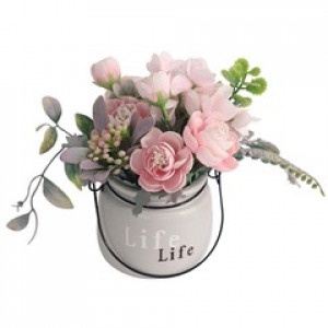 Bouquet en pot Life - Devis sur Techni-Contact.com - 1