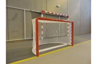 But roller hockey - Devis sur Techni-Contact.com - 2