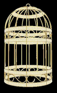 Cage de décoration lumineuse - Devis sur Techni-Contact.com - 2