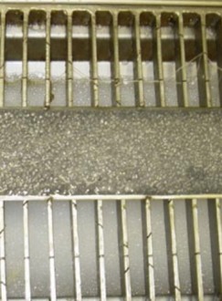 Caillebotis antidérapants en métal pour escaliers - Devis sur Techni-Contact.com - 5