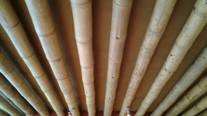 Canne de bambou entier - Devis sur Techni-Contact.com - 3