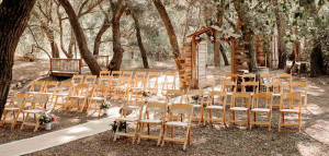 Chaise pliante WEDDING en bois - Devis sur Techni-Contact.com - 2
