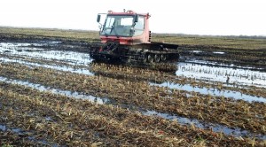 Travaux agricoles en zone humide - Devis sur Techni-Contact.com - 2
