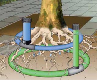 Drain d'aération et irrigation pour arbre - Devis sur Techni-Contact.com - 1
