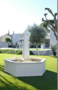 Fontaine centrale de jardin hexagonale - Devis sur Techni-Contact.com - 5