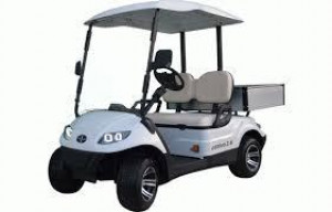 Golfette électrique 2 places - Devis sur Techni-Contact.com - 1