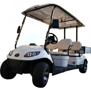 Golfette électrique 4 places - Devis sur Techni-Contact.com - 2