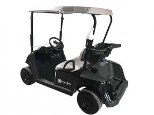 Voiturette électrique pour parcours de golf - Devis sur Techni-Contact.com - 2