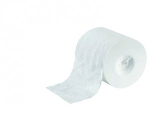 Papier hygiénique sans mandrin - Devis sur Techni-Contact.com - 1