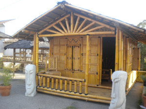 Petite maison en bambou avec terrasse - Devis sur Techni-Contact.com - 2