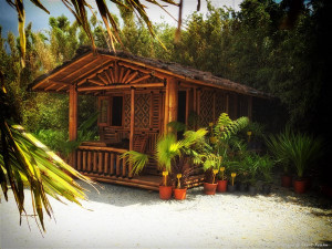Petite maison en bambou avec terrasse - Devis sur Techni-Contact.com - 6