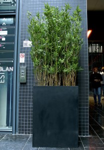 Plante artificielle Bambou - Devis sur Techni-Contact.com - 2