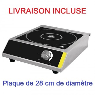 Plaque à induction professionnelle - Diamètre surface de cuisson jusqu'à (Ø) : 280 mm