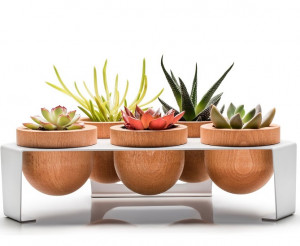 Pots de fleurs de table en bois - Devis sur Techni-Contact.com - 11