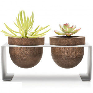 Pots de fleurs de table en bois - Devis sur Techni-Contact.com - 6