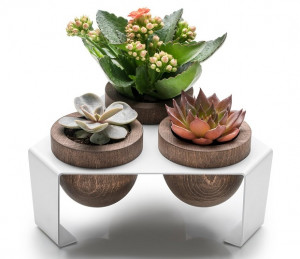 Pots de fleurs de table en bois - Devis sur Techni-Contact.com - 8