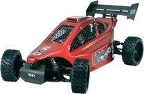 Reely buggy ess. 1/6 RtR Carbon Fighter : Devis sur Techni-Contact