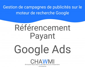Référencement payant Google Ads - Devis sur Techni-Contact.com - 1
