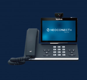 Solution Pro Standard téléphonique tout-en-1 - Devis sur Techni-Contact.com - 2