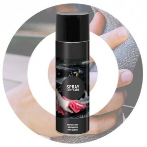 Spray lustrant 500ml - Devis sur Techni-Contact.com - 1