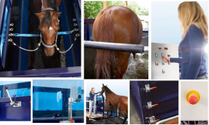 aquatrainer pour chevaux - Devis sur Techni-Contact.com - 4