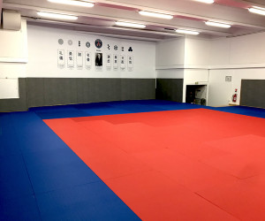 Tatamis judo aikido karaté - Devis sur Techni-Contact.com - 2