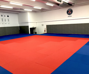 Tatamis judo aikido karaté - Devis sur Techni-Contact.com - 3