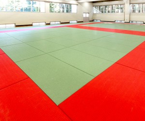Tatamis pour Judo MMA Karaté et Aikido - Devis sur Techni-Contact.com - 2