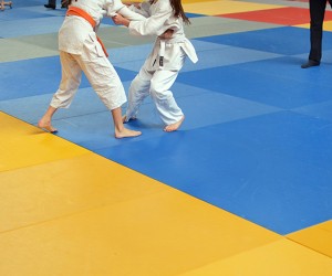 Tatamis pour Judo MMA Karaté et Aikido - Devis sur Techni-Contact.com - 4