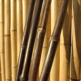 Tige bambou - Devis sur Techni-Contact.com - 2