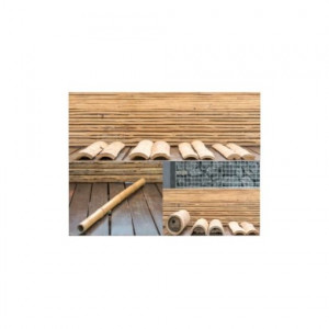Tige de bambou - Devis sur Techni-Contact.com - 2