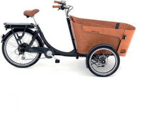 Vélo cargo à assistance électrique - Devis sur Techni-Contact.com - 2