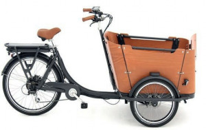 Vélo cargo élégant - Devis sur Techni-Contact.com - 1