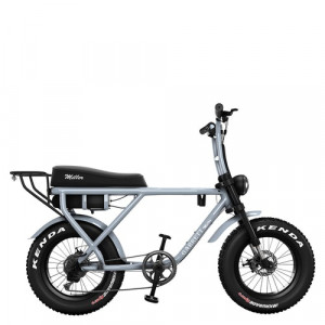 Vélo électrique pour 2 personnes - Devis sur Techni-Contact.com - 1