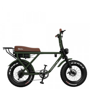 Vélo électrique pour 2 personnes - Devis sur Techni-Contact.com - 2
