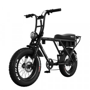 Vélo électrique pour 2 personnes - Devis sur Techni-Contact.com - 7